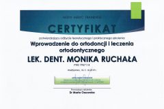 CERTFIKAT-1